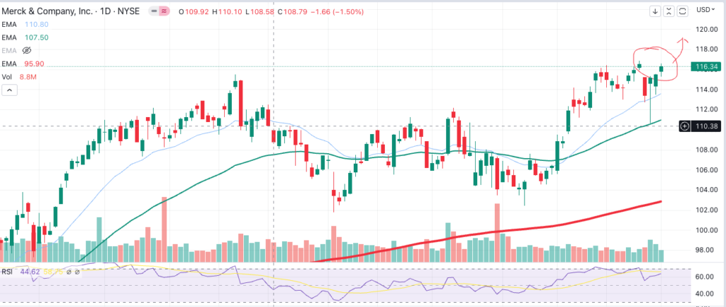 Merck Chart